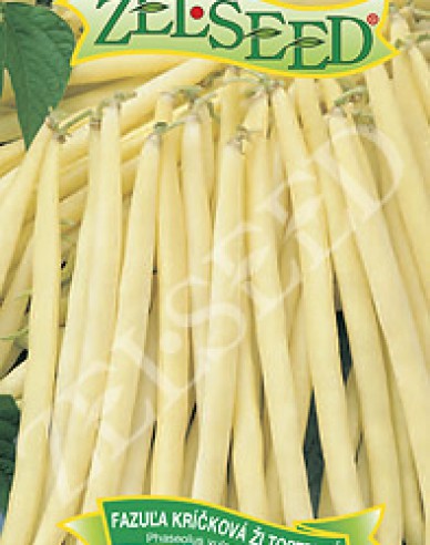 Zelseed Buschbohne Leonarda