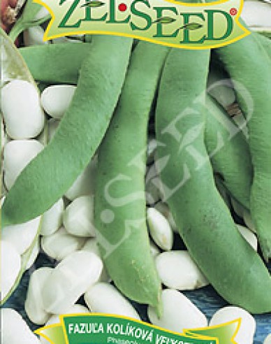 Zelseed Stangenbohne  Albena