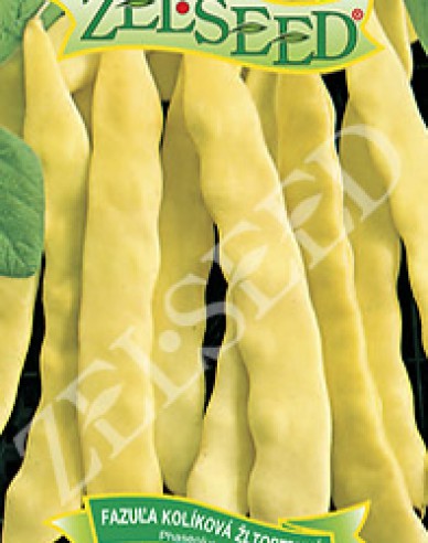 Zelseed Stangenbohne Anita