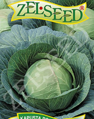 Zelseed Weißkohl  Pourovo Polopozdní