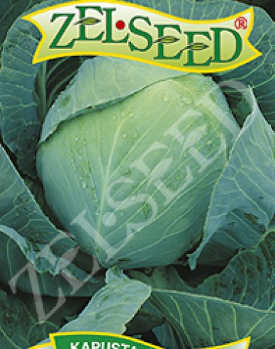 Zelseed Weißkohl Polar