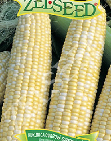 Zelseed Zuckermais Alida F1