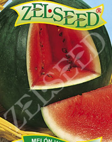 Zelseed Wassermelone Lajko II F1
