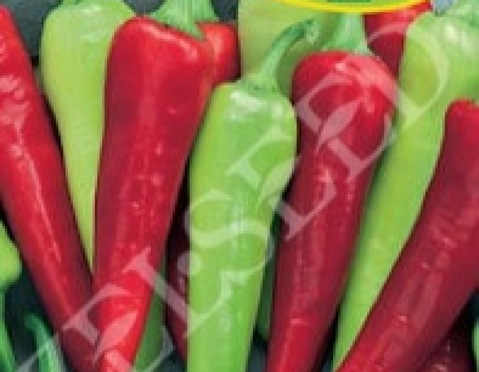 Zelseed Paprika Branko