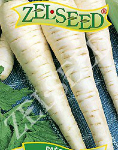 Zelseed  Pastinake Langer Weißer