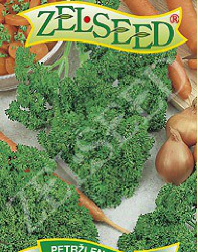 Zelseed Petersilie Astra