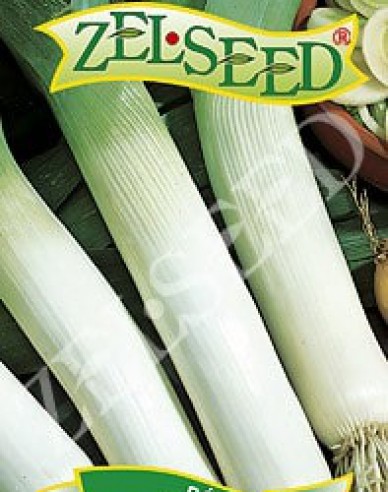 Zelseed Lauch Elefant