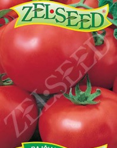 Zelseed  Buschtomate Tomanova