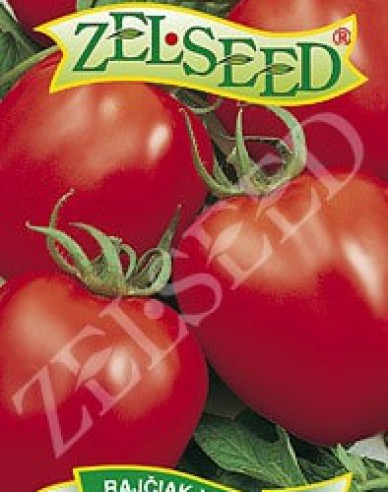 Zelseed Buschtomate Denarius