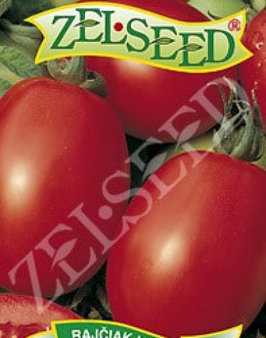 Zelseed Buschtomate Salus