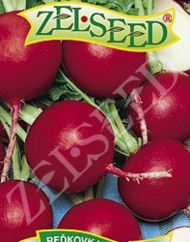 Zelseed Radieschen Katka