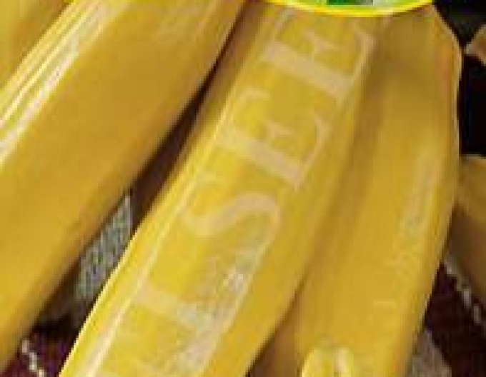 Zelseed Zucchini Nadenka F1