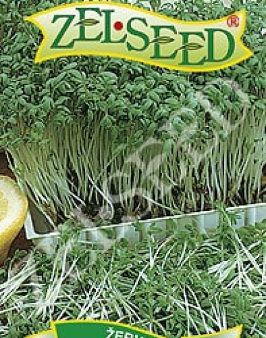 Zelseed Kresse Dänisch