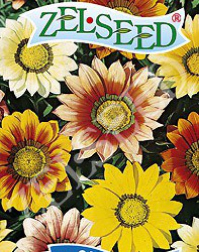 Zelseed Gazanie Mix
