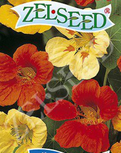 Zelseed Kapuzinerkresse Mix