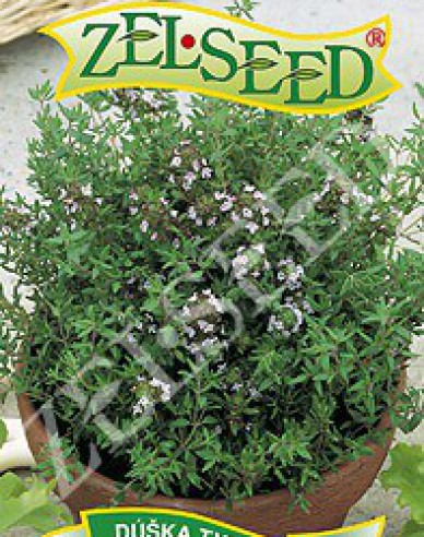 Zelseed Thymian