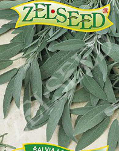 Zelseed Salbei