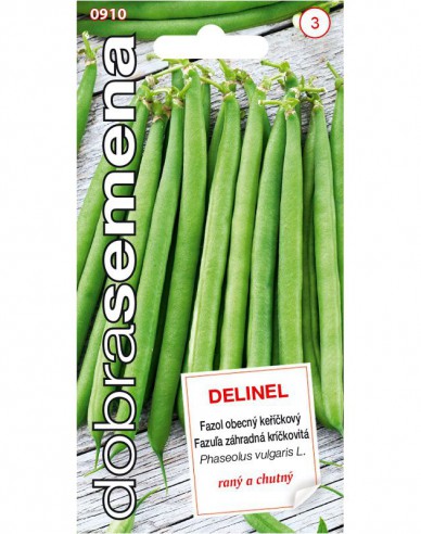 Dobrá semená Buschbohne Delinel