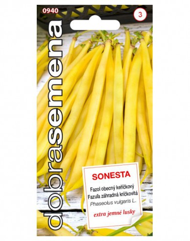 Dobrá semená Buschbohne Sonesta