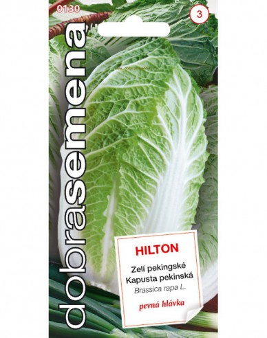 Dobrá semená Pekingkohl Hilton