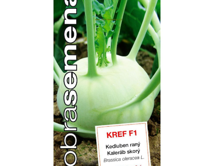 Dobrá semená Kohlrabi Kref F1
