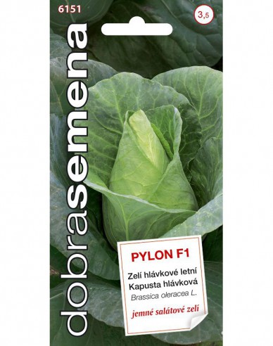 Dobrá semená Weißkohl Pylon F1