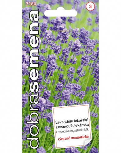 Dobrá semená  Lavendel