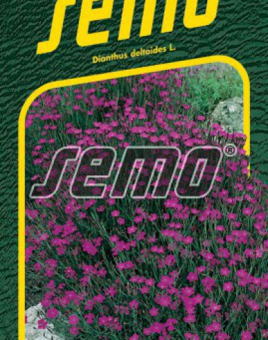 Semo Nelke Maiden Pink