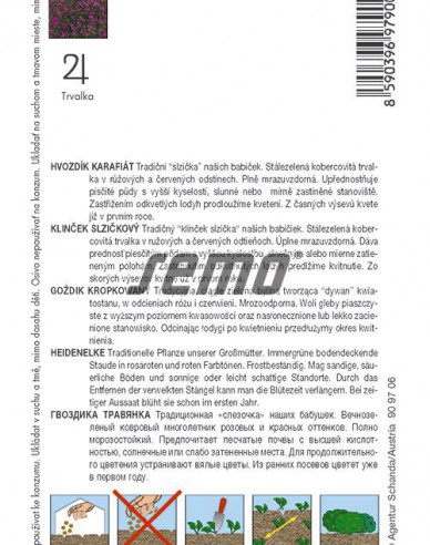 Semo Nelke Maiden Pink