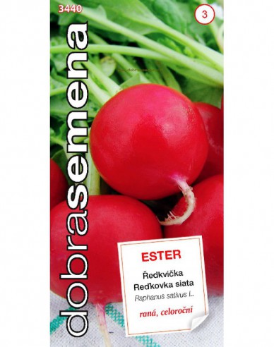 Dobrá semená Radieschen Ester