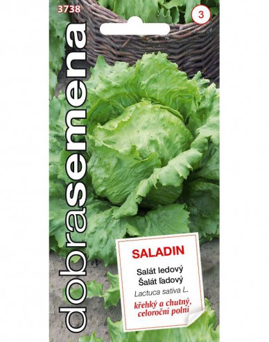 Dobrá semená Kopfsalat Saladin