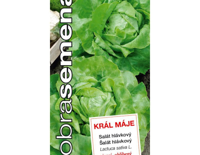 Dobrá semená Frühjahrssalat „Král máje I.“