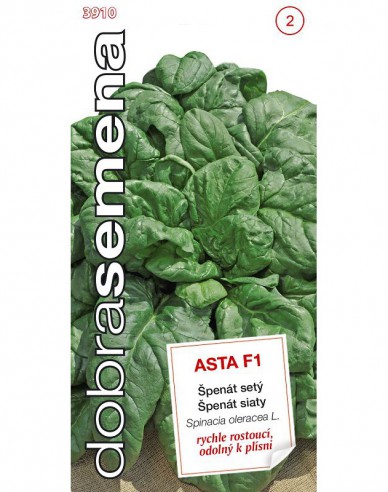 Dobrá semená Spinat Asta F1