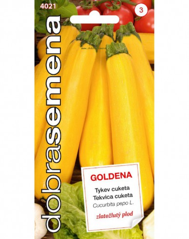 Dobrá semená Zucchini Goldena
