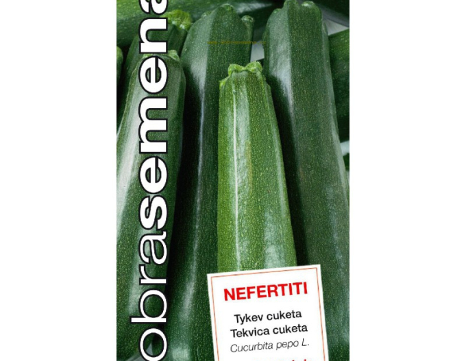 Dobrá semená Zucchini Nefertiti