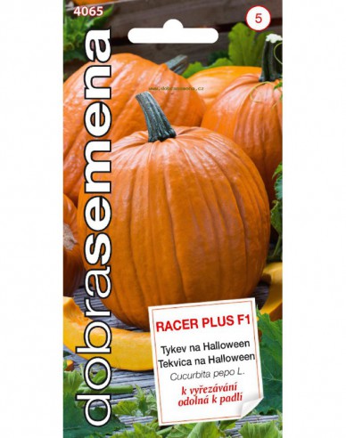 Dobrá semená Riesenkürbis Racer Plus F1