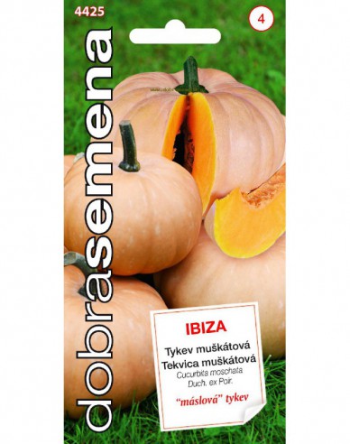 Dobrá semená Muskatkürbis Ibiza