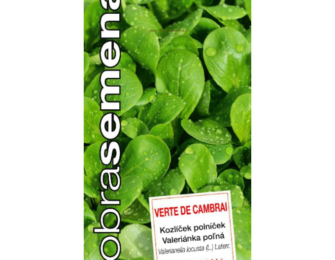 Dobrá semená Feldsalat Verte de Cambrai
