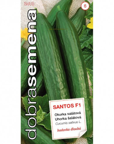 Dobrá semená Salatgurke Santos F1