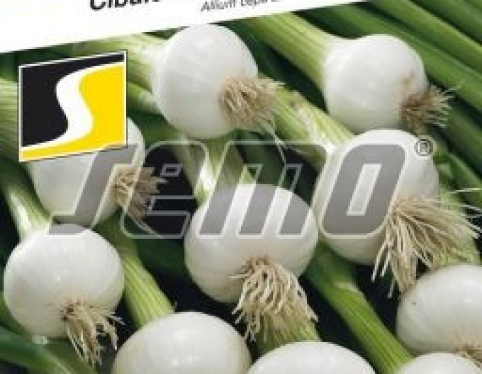 Semo Frühlingszwiebel Ranila