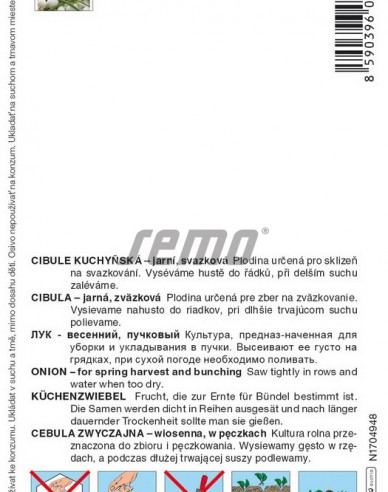 Semo Frühlingszwiebel Ranila