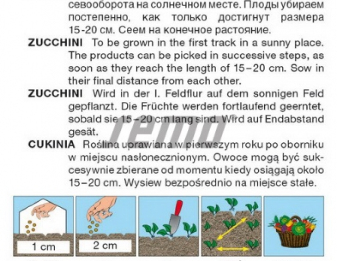 Semo Zucchini Emperol F1