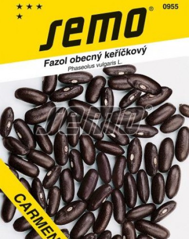 Semo Buschbohne Carmen