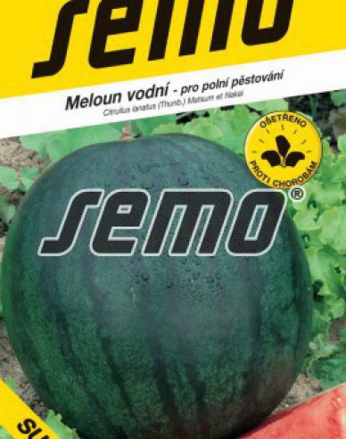 Semo Wassermelone Sugar Baby