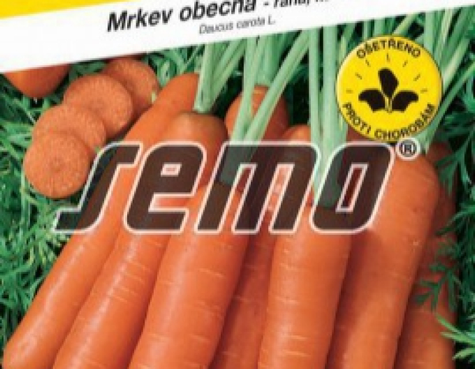 Semo Karotte Jitka F1