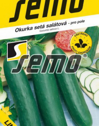 Semo Salatgurke Linda F1 Mix