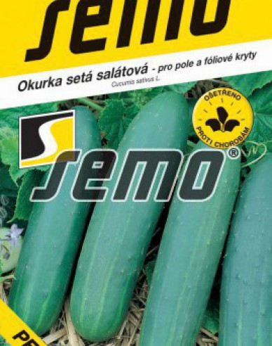 Semo Salatgurke Perseus F1