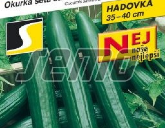 Semo Salatgurke Vista F1