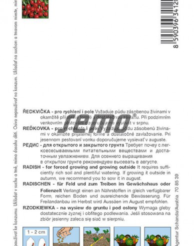 Semo Radieschen Prima