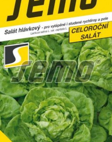 Semo Kopfsalat  Bremex